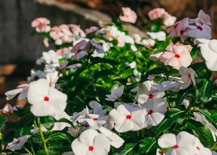 Casa vacanze La Di *